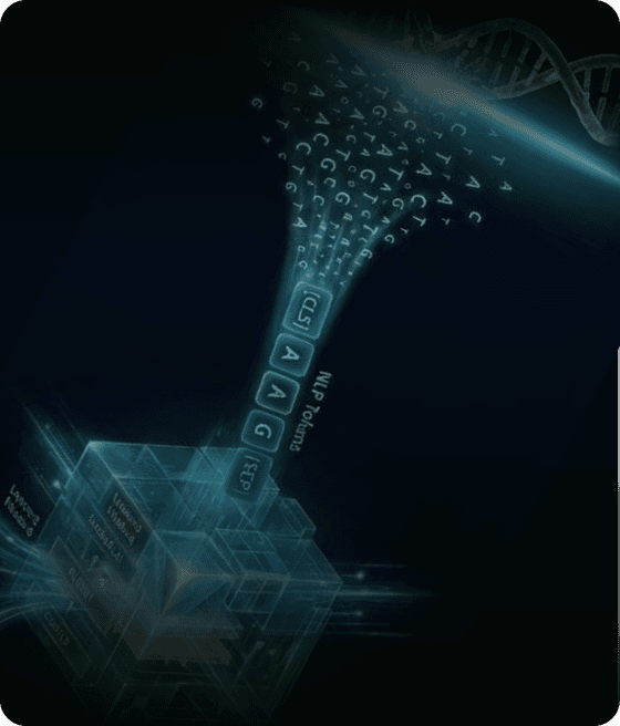 Language of Genome